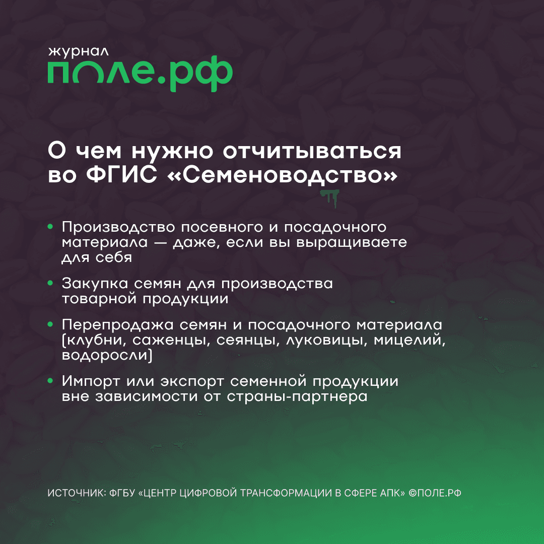 Все операции с семенами отслеживаются во ФГИС «Семеноводство»