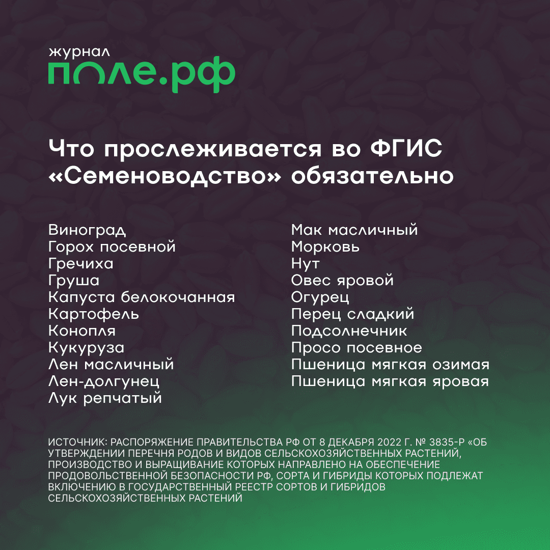 Обязательна к регистирации во ФГИС «Семеноводство» 41 культура из списка продбезопасности