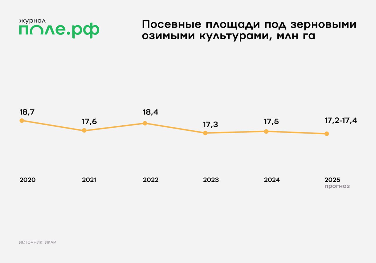 инфографика