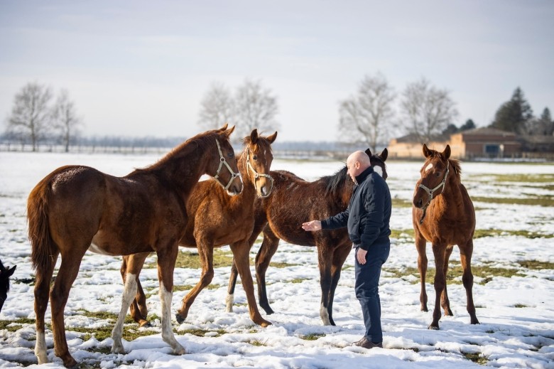 Конный завод «Восход»