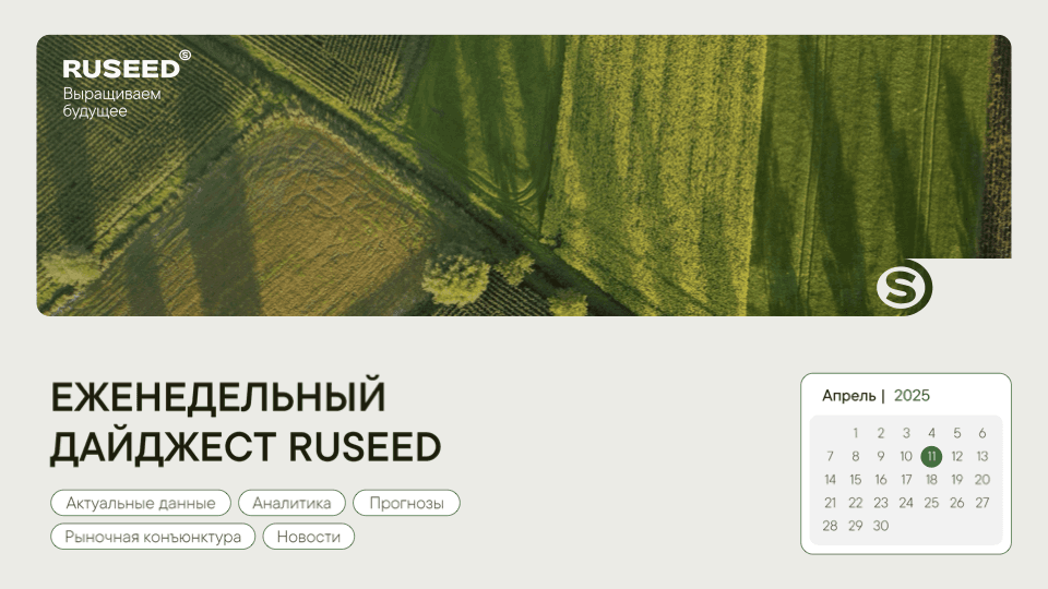 Аналитика цен на рынке за неделю. Еженедельный дайджест RUSEED