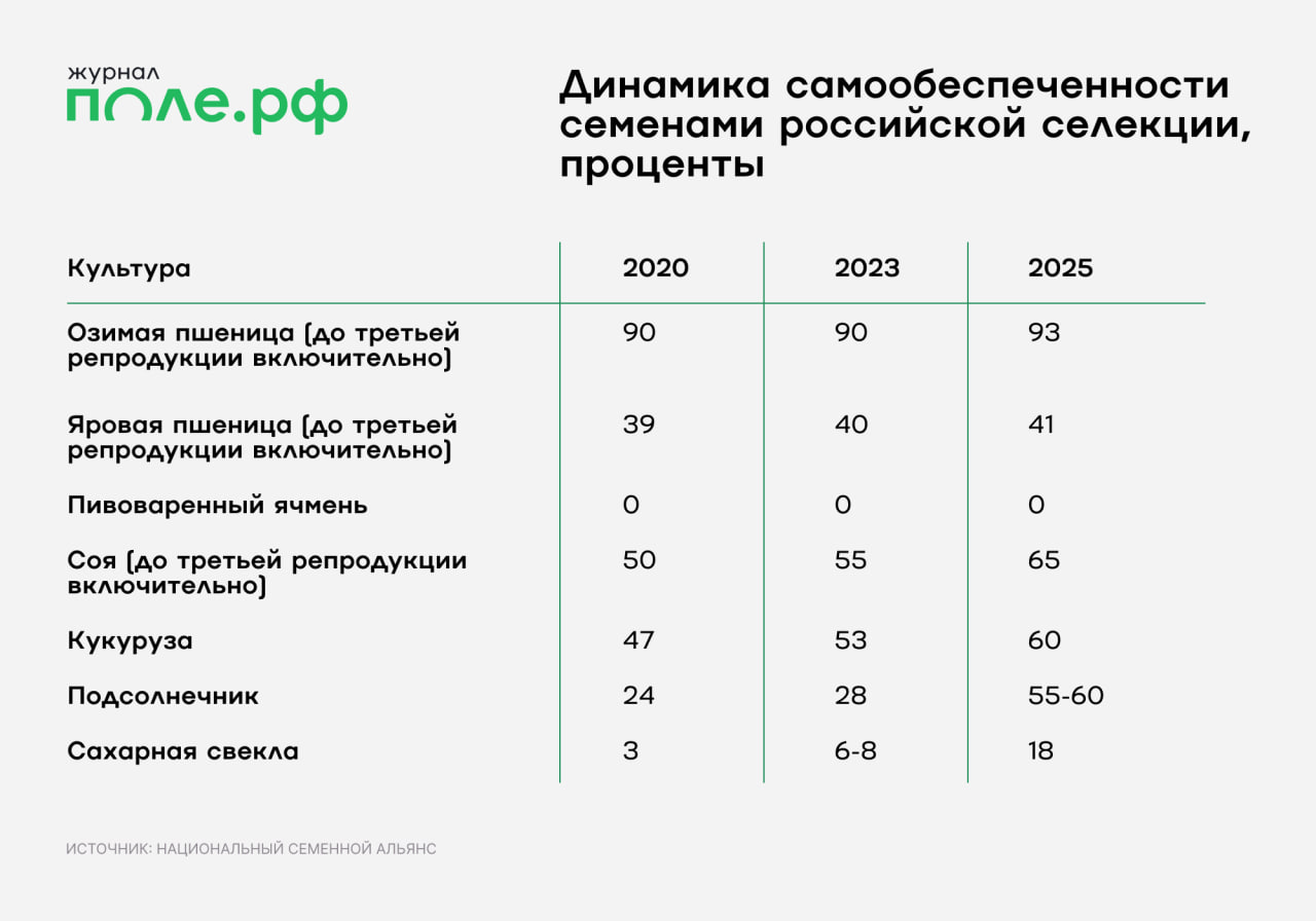 инфографика