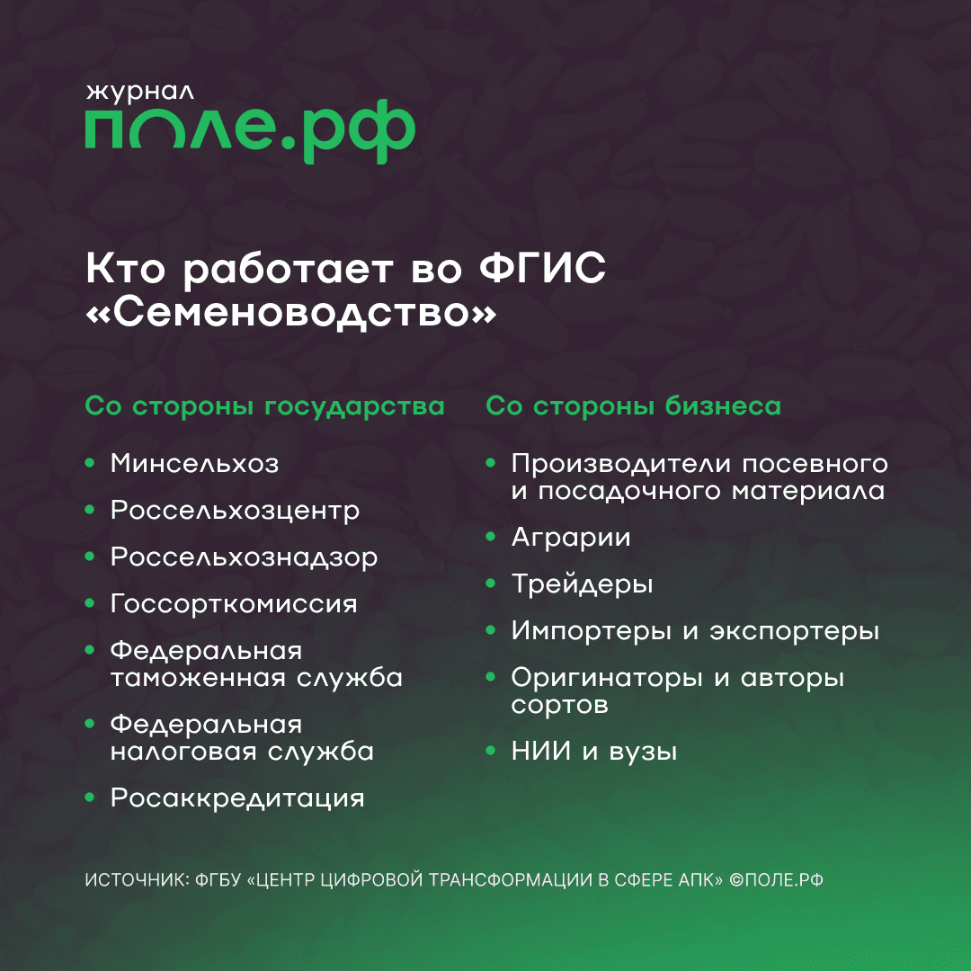 99% участников ФГИС «Семеноводство» — аграрии